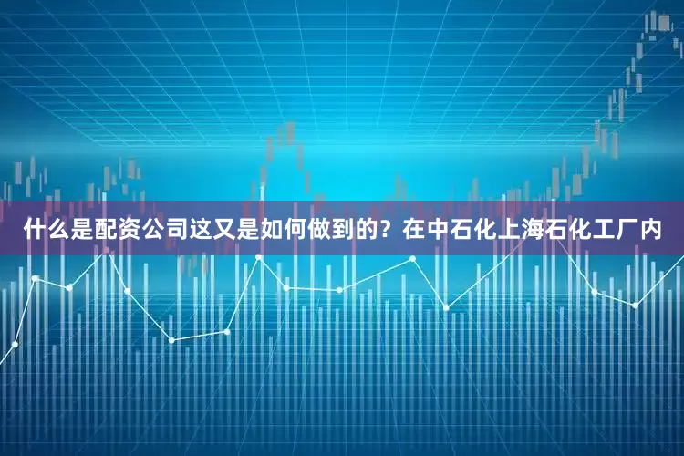 什么是配资公司这又是如何做到的？在中石化上海石化工厂内