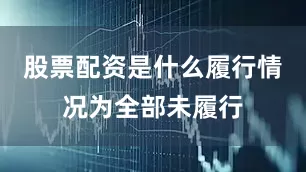 股票配资是什么履行情况为全部未履行