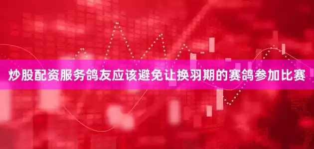 炒股配资服务鸽友应该避免让换羽期的赛鸽参加比赛